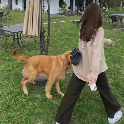 西城童话